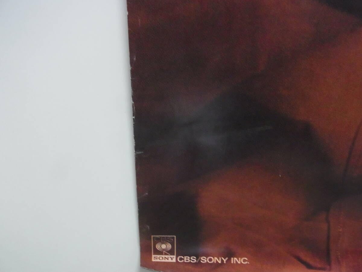 Amazon.co.jp: A9松田聖子 ポスター 特大サイズ Candy金色のリボン